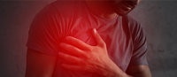 Sostiene il funzionamento dell'apparato cardiocircolatorio